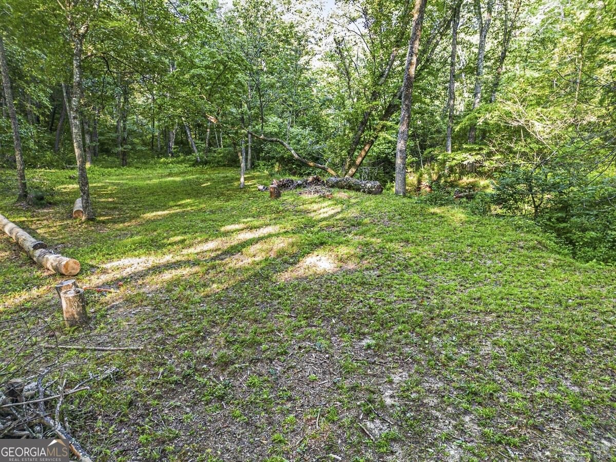 245 Sunrise Valley Road Blue Ridge - Photo 40