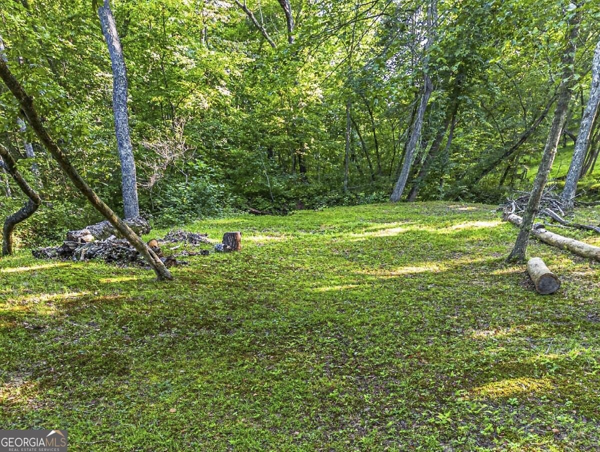 245 Sunrise Valley Road Blue Ridge - Photo 41
