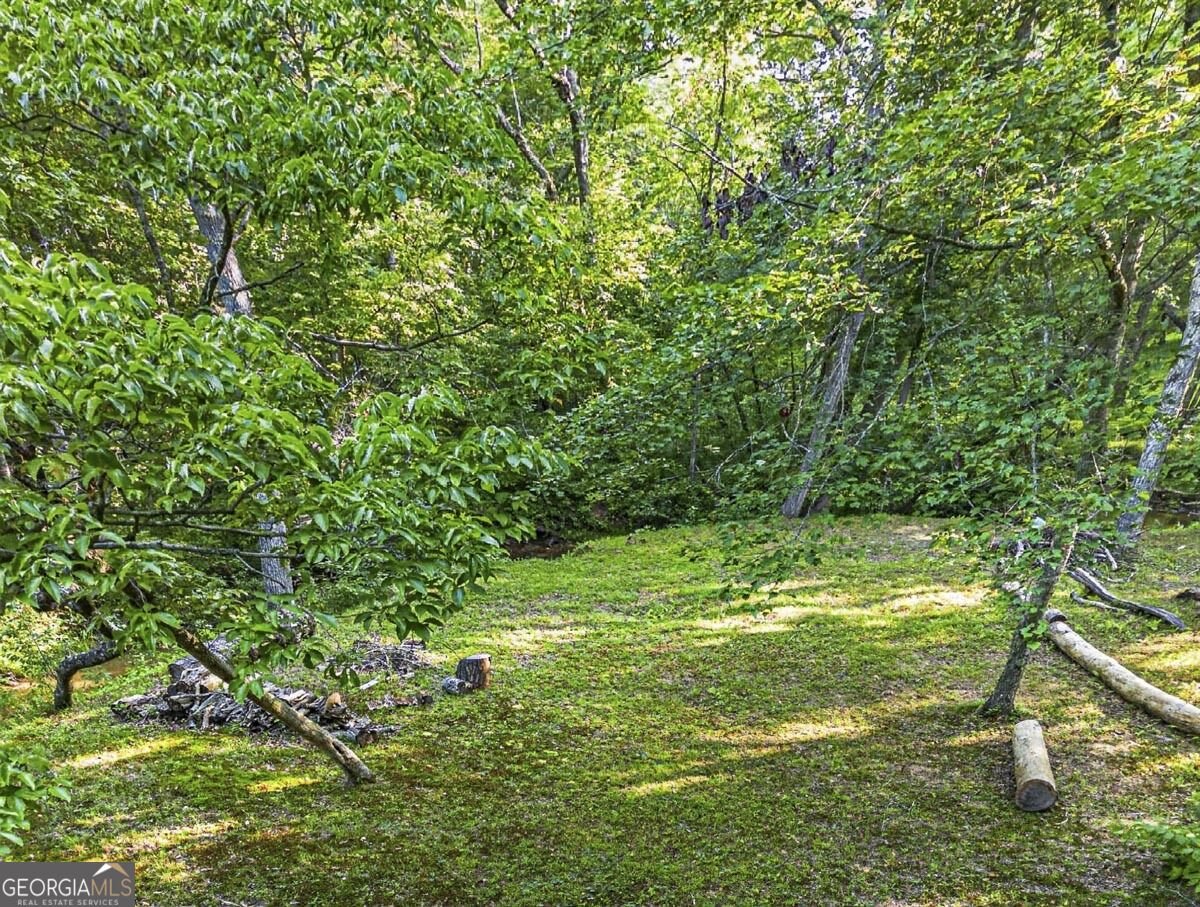 245 Sunrise Valley Road Blue Ridge - Photo 42