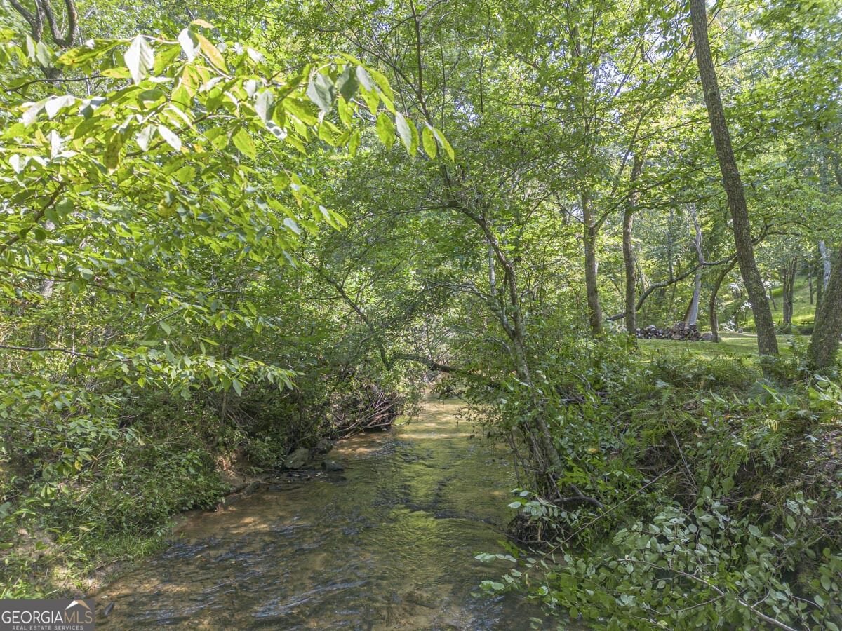 245 Sunrise Valley Road Blue Ridge - Photo 43