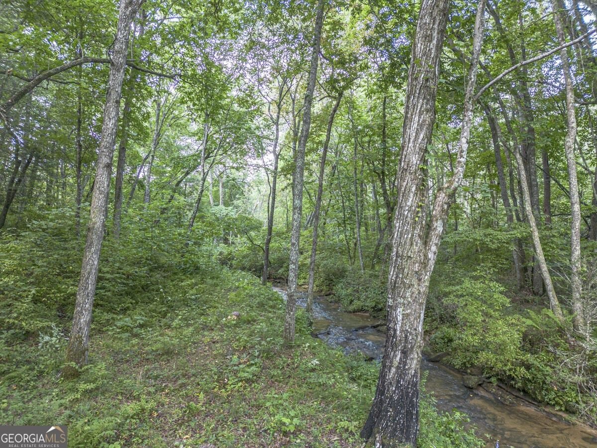245 Sunrise Valley Road Blue Ridge - Photo 44