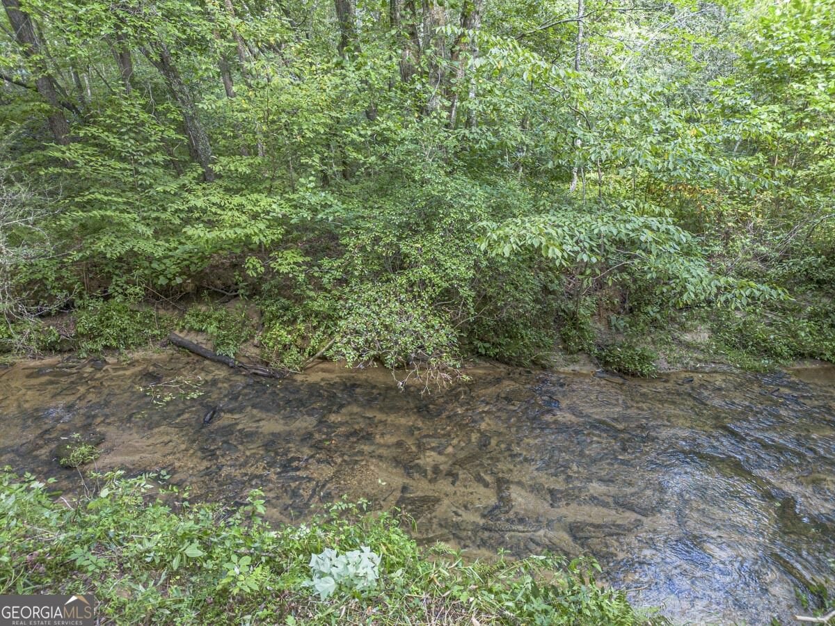 245 Sunrise Valley Road Blue Ridge - Photo 45