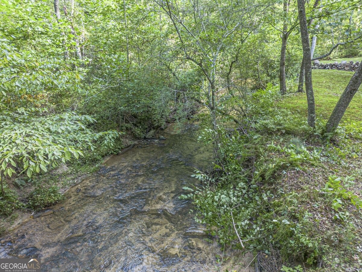 245 Sunrise Valley Road Blue Ridge - Photo 46