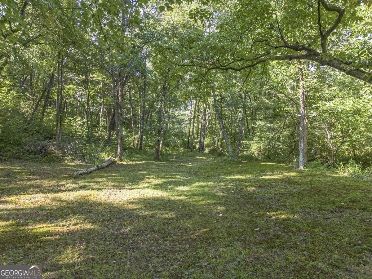 245 Sunrise Valley Road Blue Ridge - Photo 47