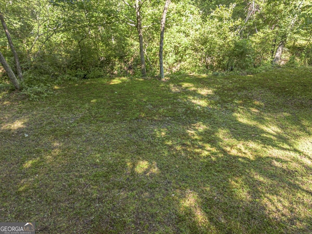 245 Sunrise Valley Road Blue Ridge - Photo 48