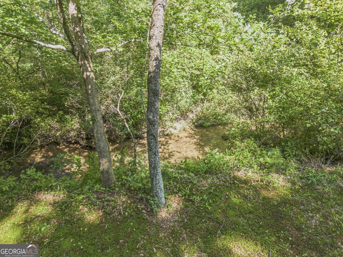 245 Sunrise Valley Road Blue Ridge - Photo 49