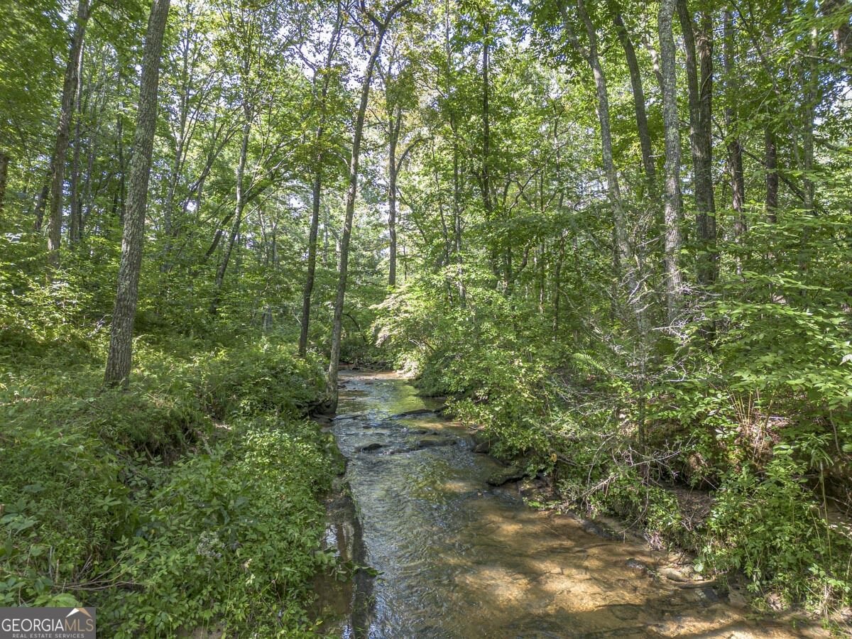 245 Sunrise Valley Road Blue Ridge - Photo 6