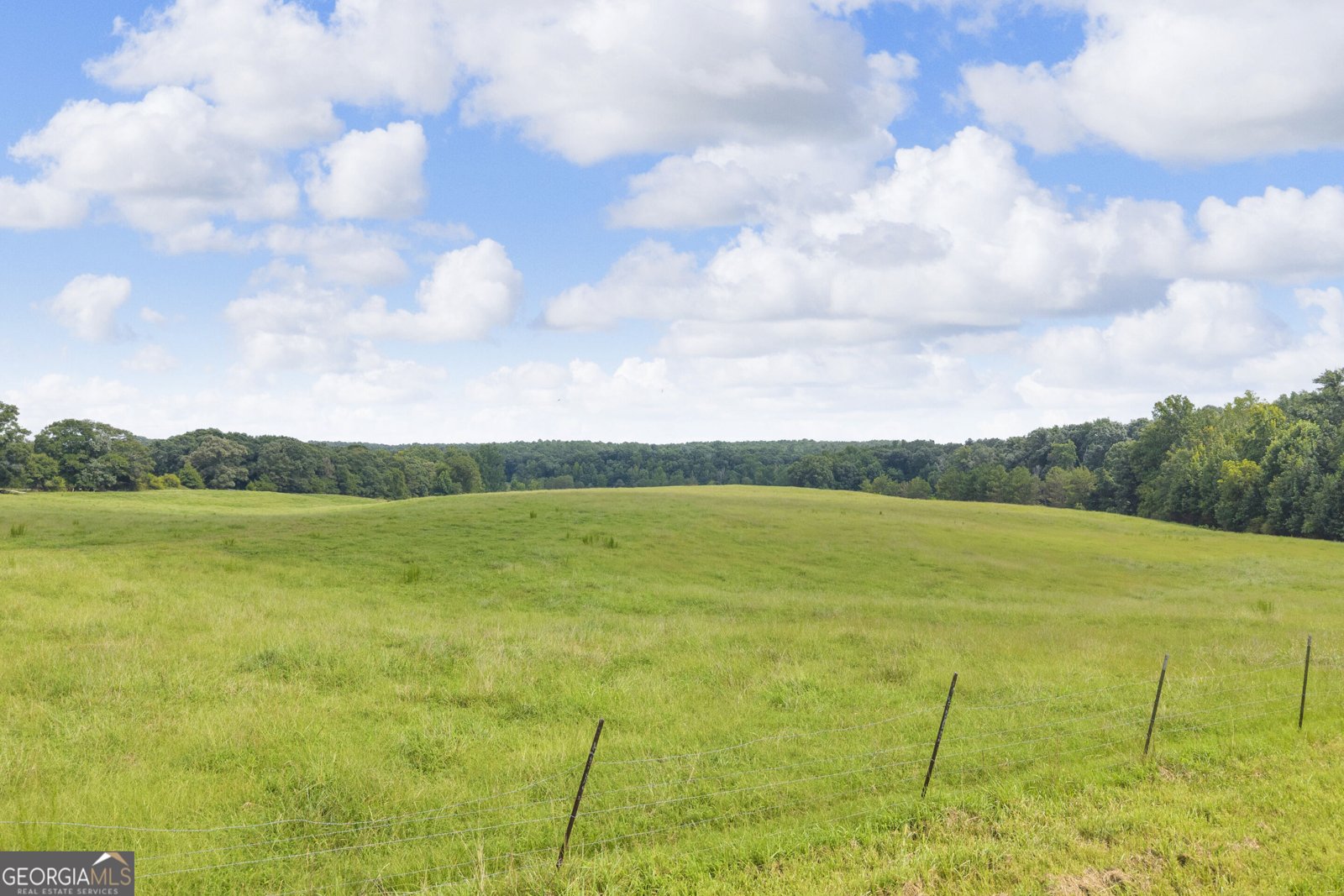 2785 Stanley Maxwell Road Bowman - Photo 37