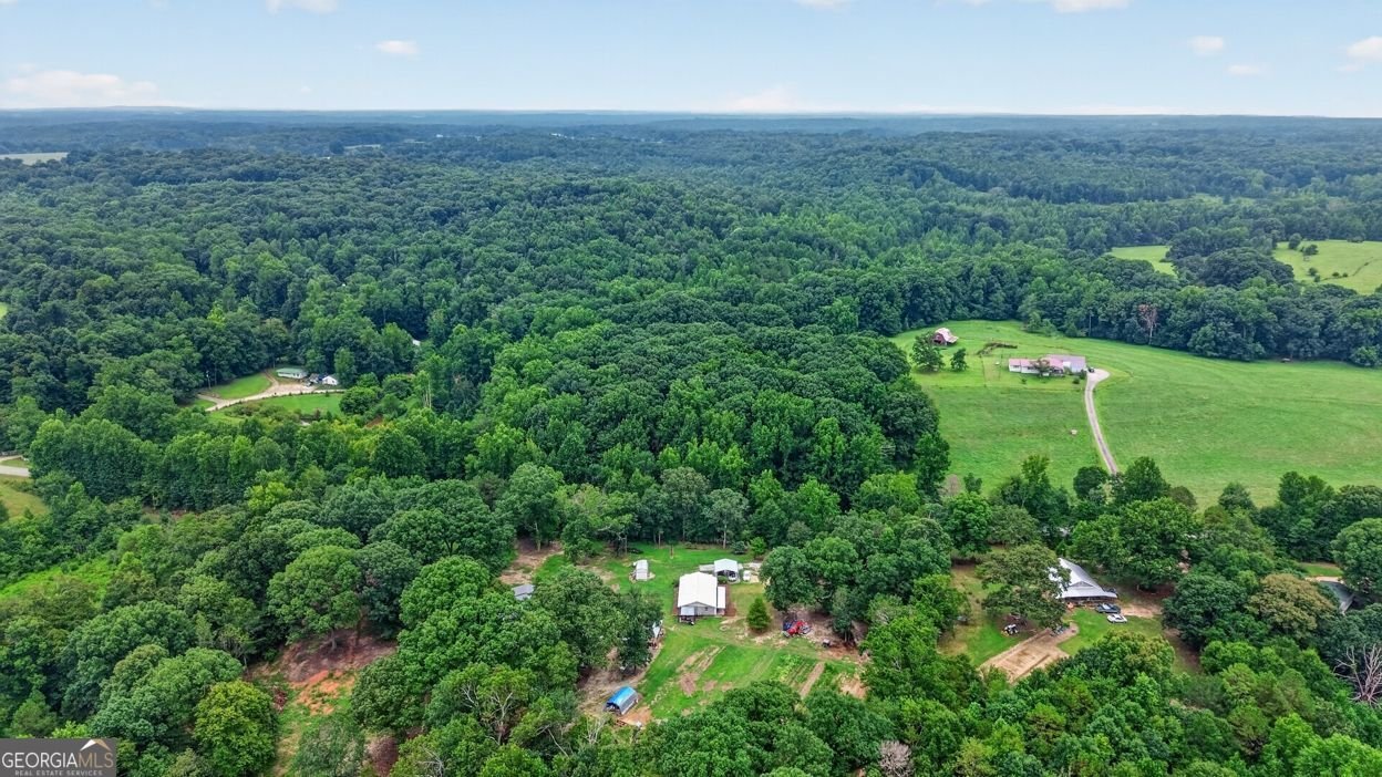 944 Blacks Creek Church Road Danielsville - Photo 32