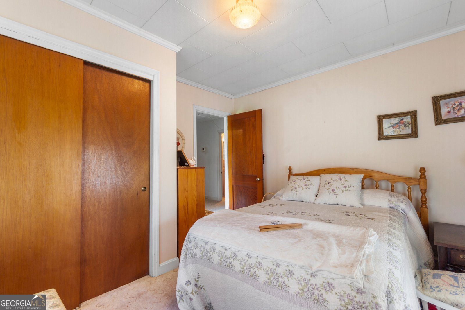 770 Soperton Highway Eastman - Photo 36