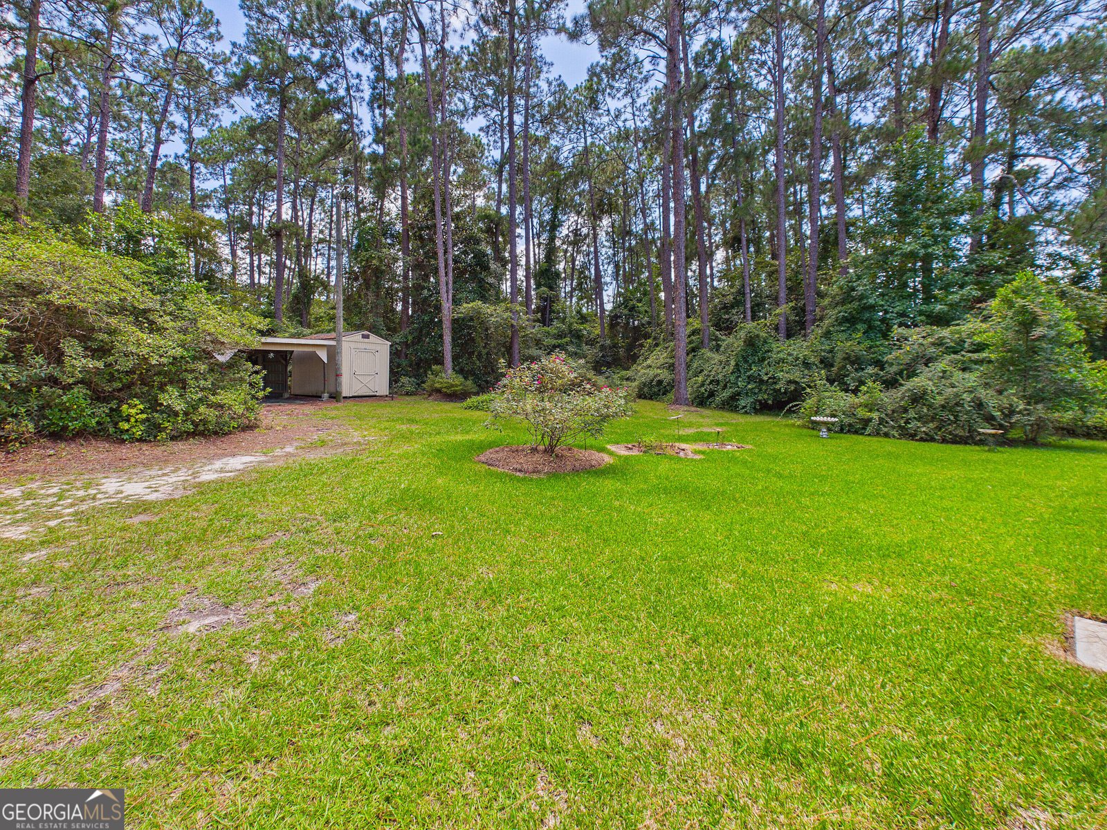770 Soperton Highway Eastman - Photo 51