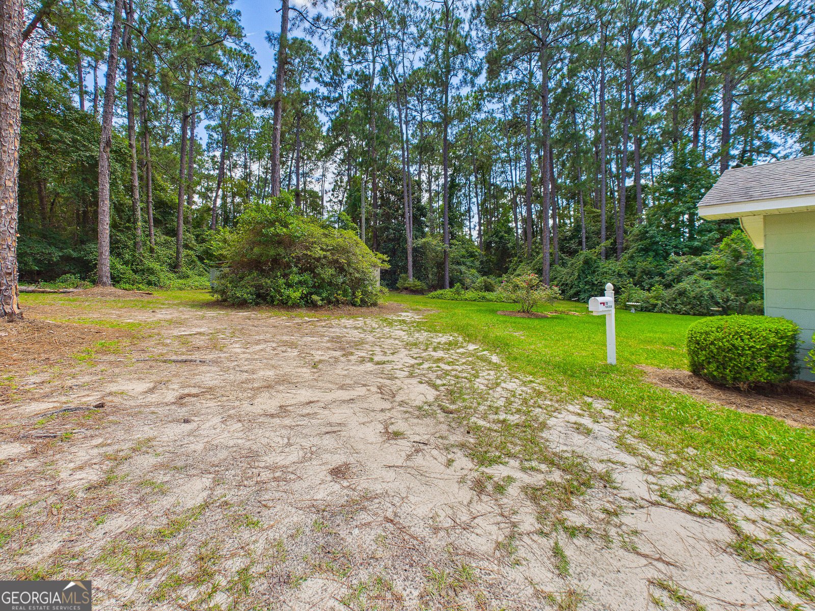 770 Soperton Highway Eastman - Photo 52