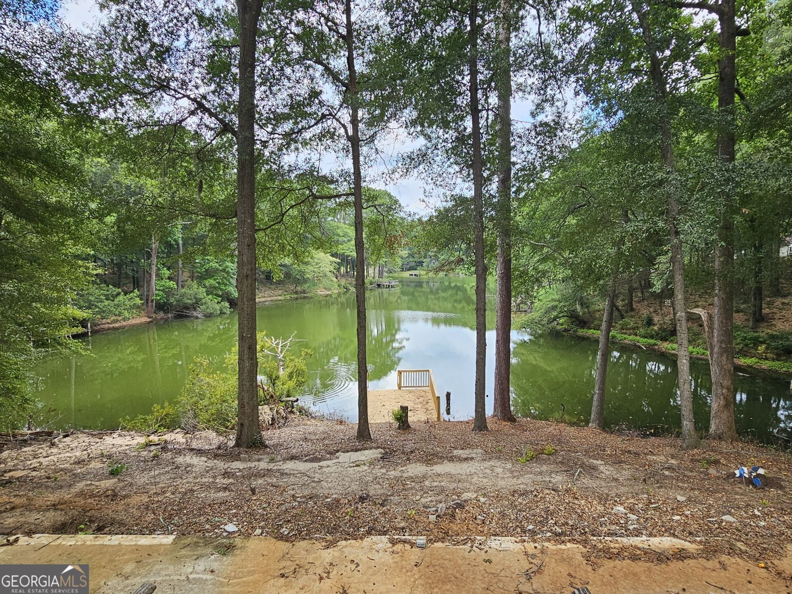 26 Spring Lake Drive Hawkinsville - Photo 17