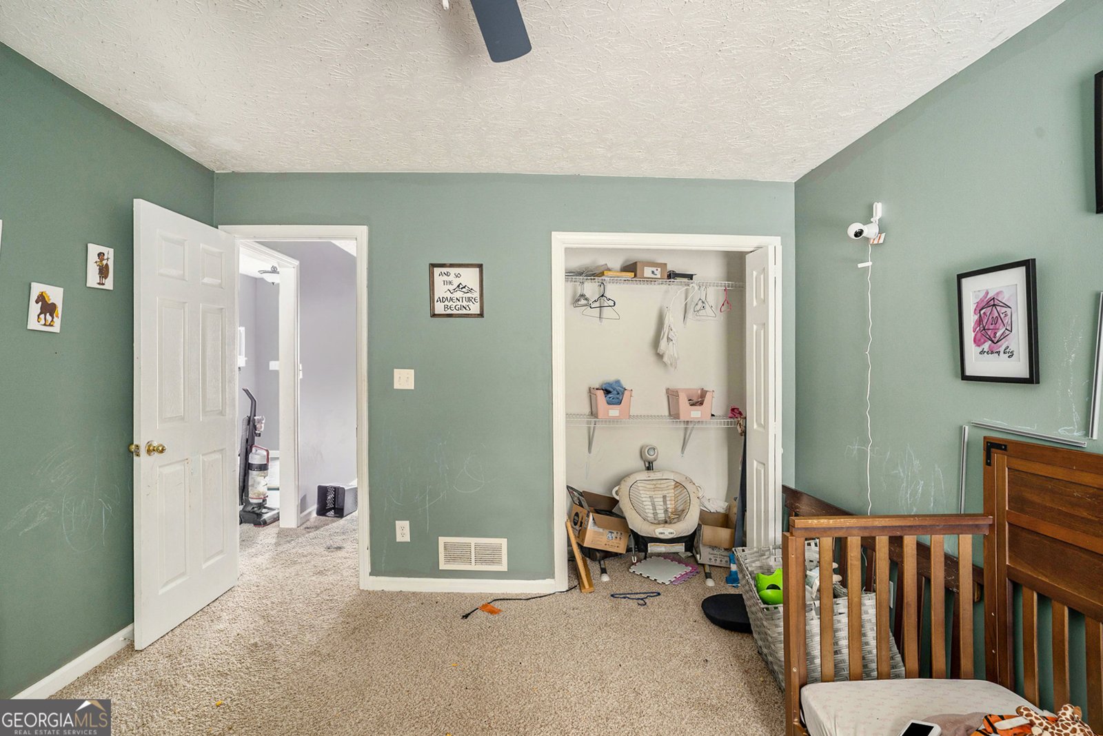 172 crown forest Drive Mcdonough - Photo 19