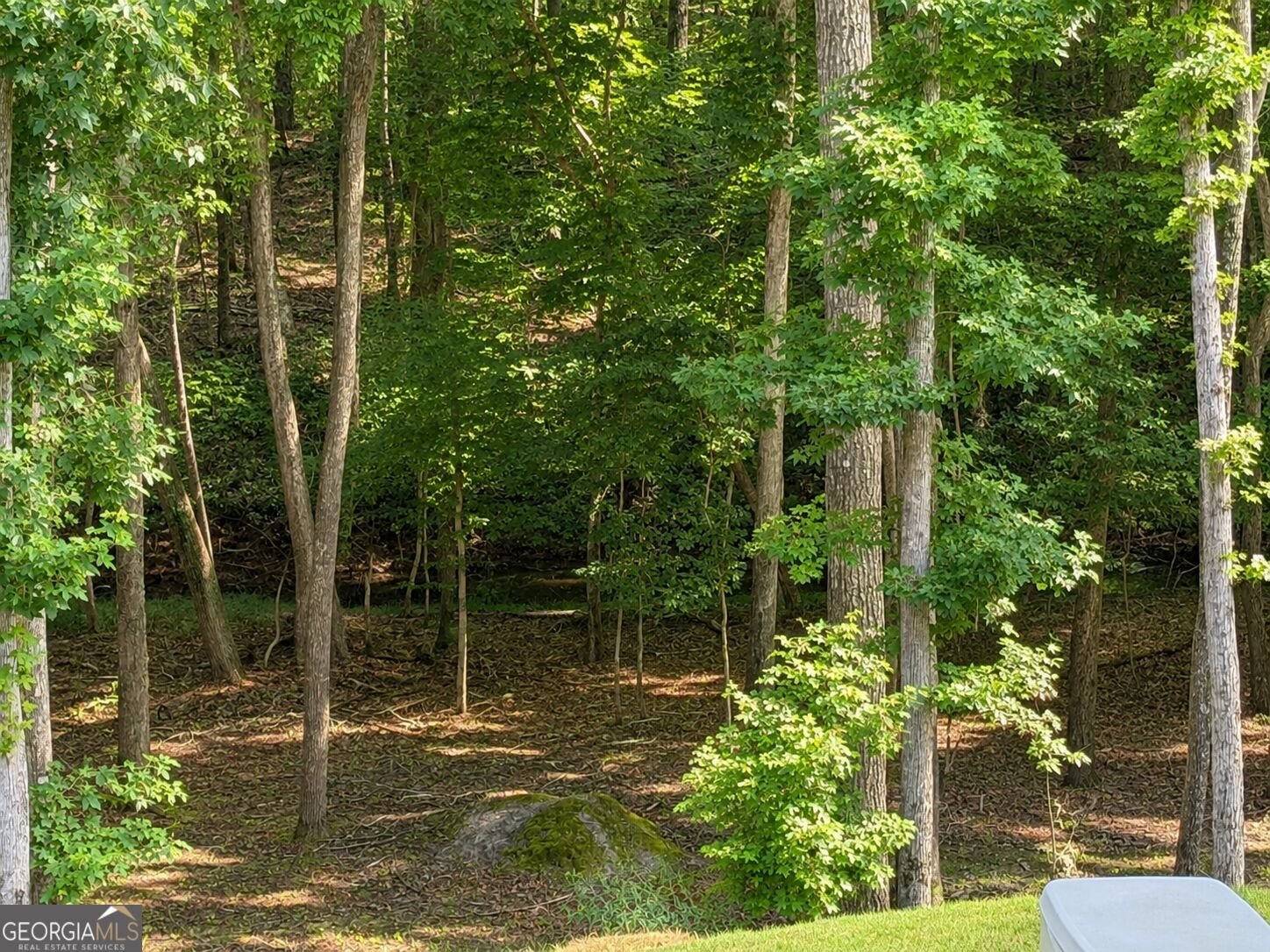 133 Fort Gibson Court Waleska - Photo 31