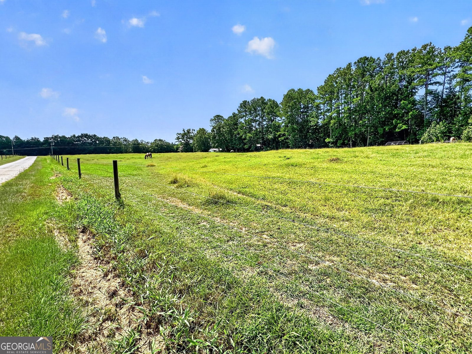 2614 Locust Grove Rd Griffin - Photo 8