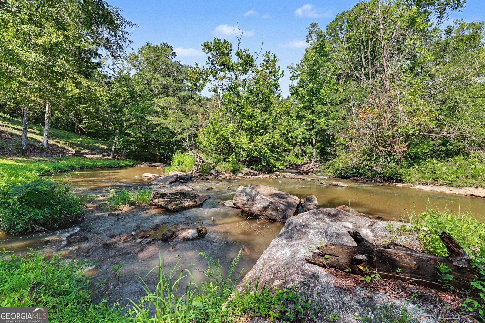 17 Moon Ridge Newnan - Photo 53