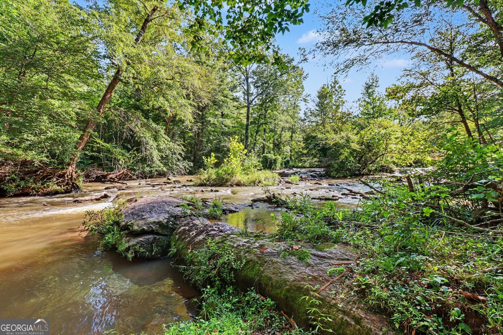 17 Moon Ridge Newnan - Photo 59