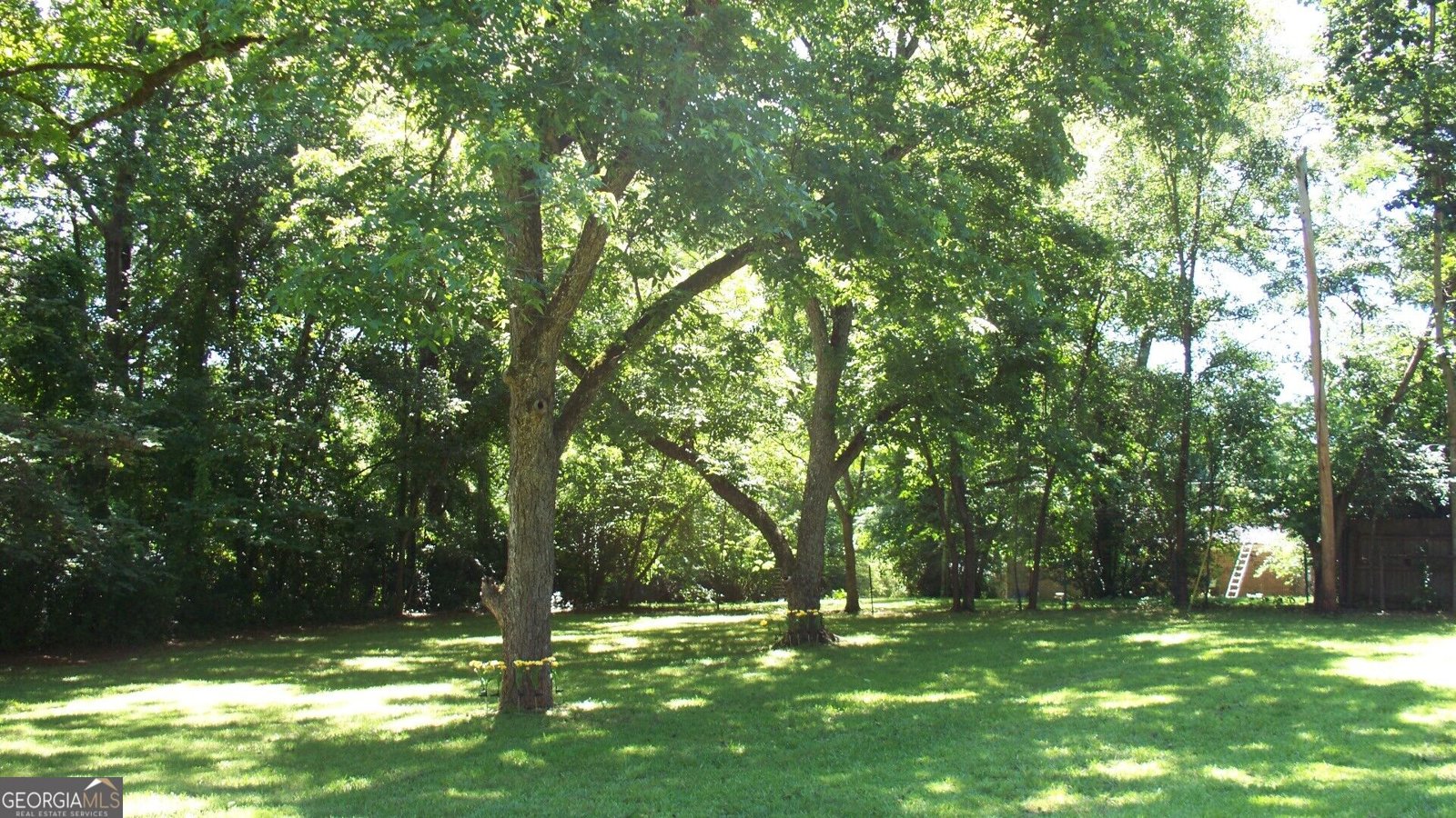 146 Rock Eagle Road Monticello - Photo 8