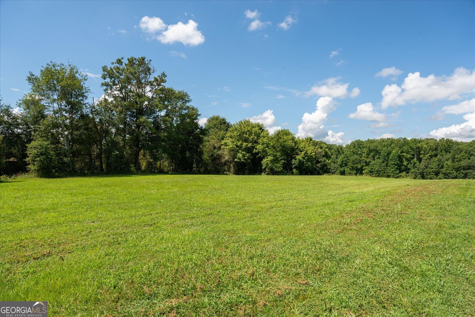 835 Kent Rd Bowdon - Photo 49