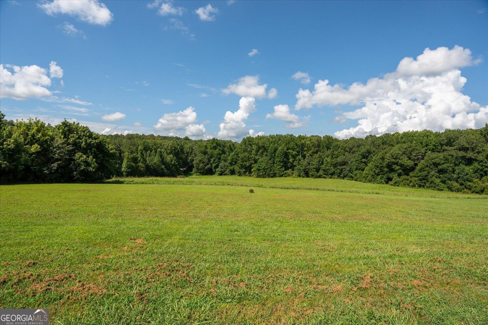 835 Kent Rd Bowdon - Photo 50