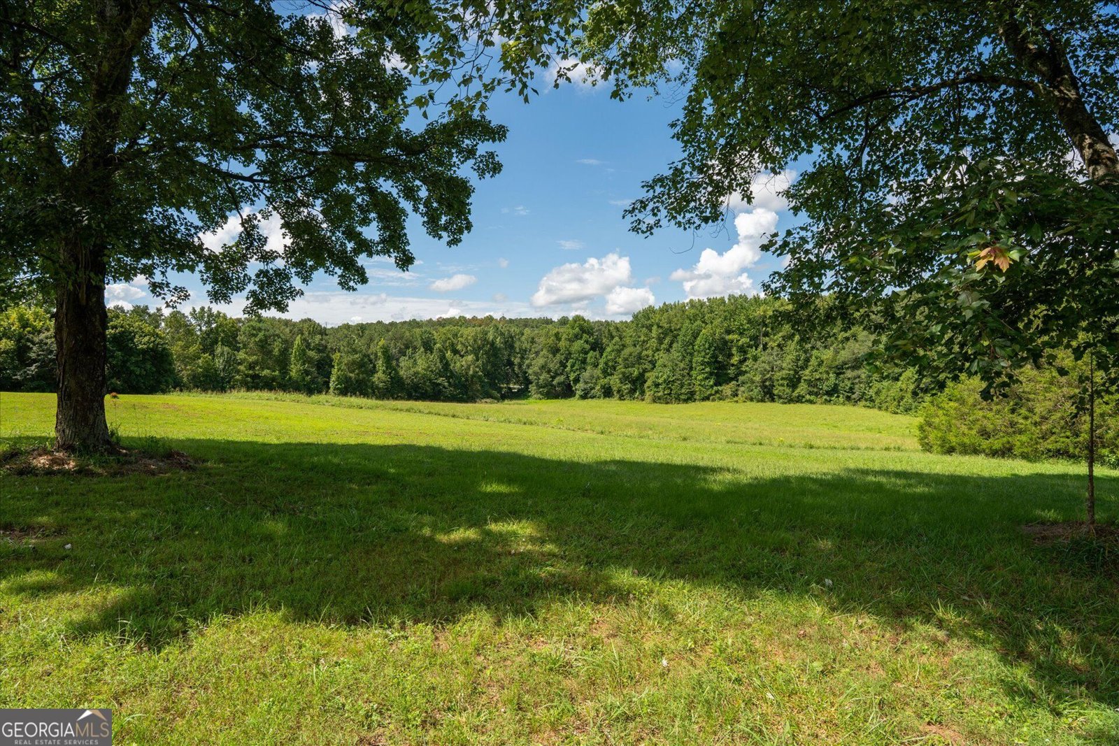 835 Kent Rd Bowdon - Photo 51
