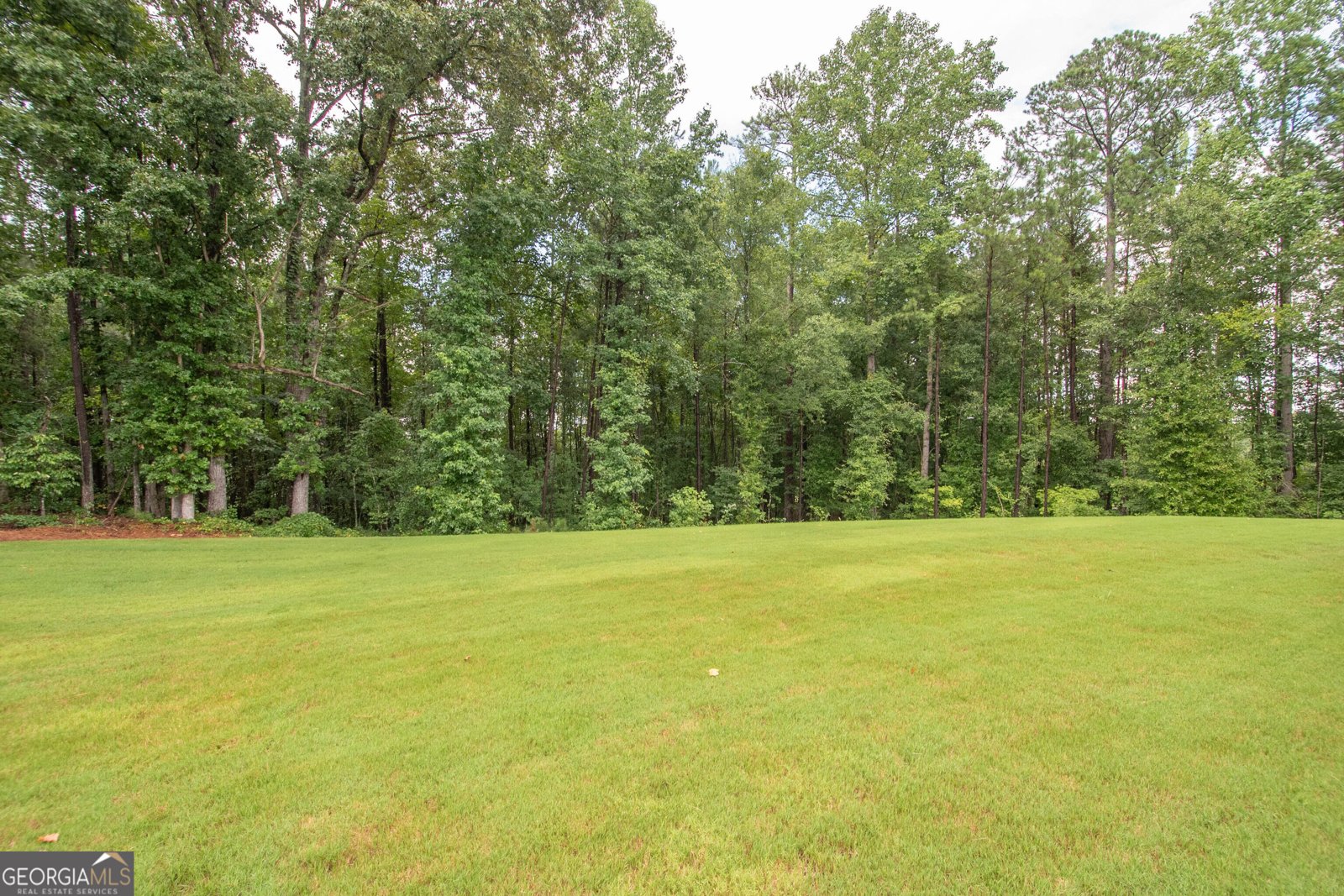 33 Ryeland Drive Senoia - Photo 72