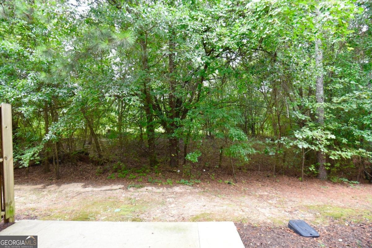 1349 Cooper Springs Road Grayson - Photo 48