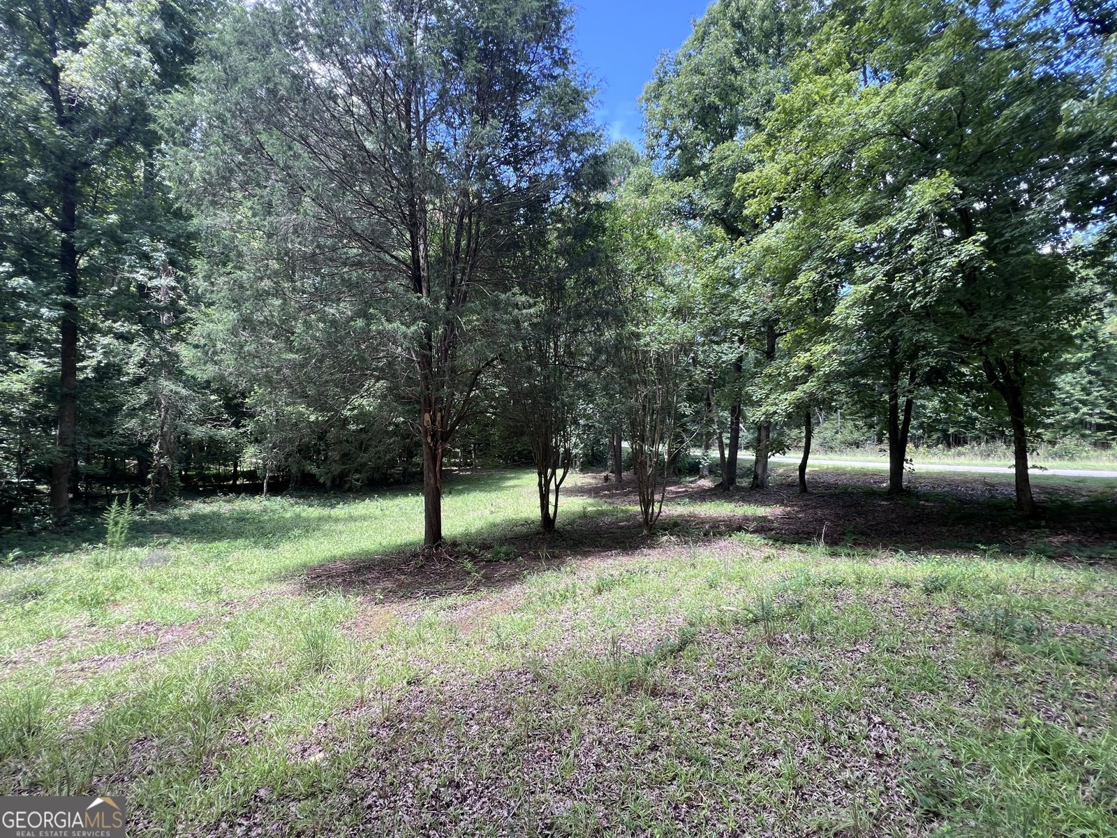 160 Gumm Cemetary Road Milledgeville - Photo 16