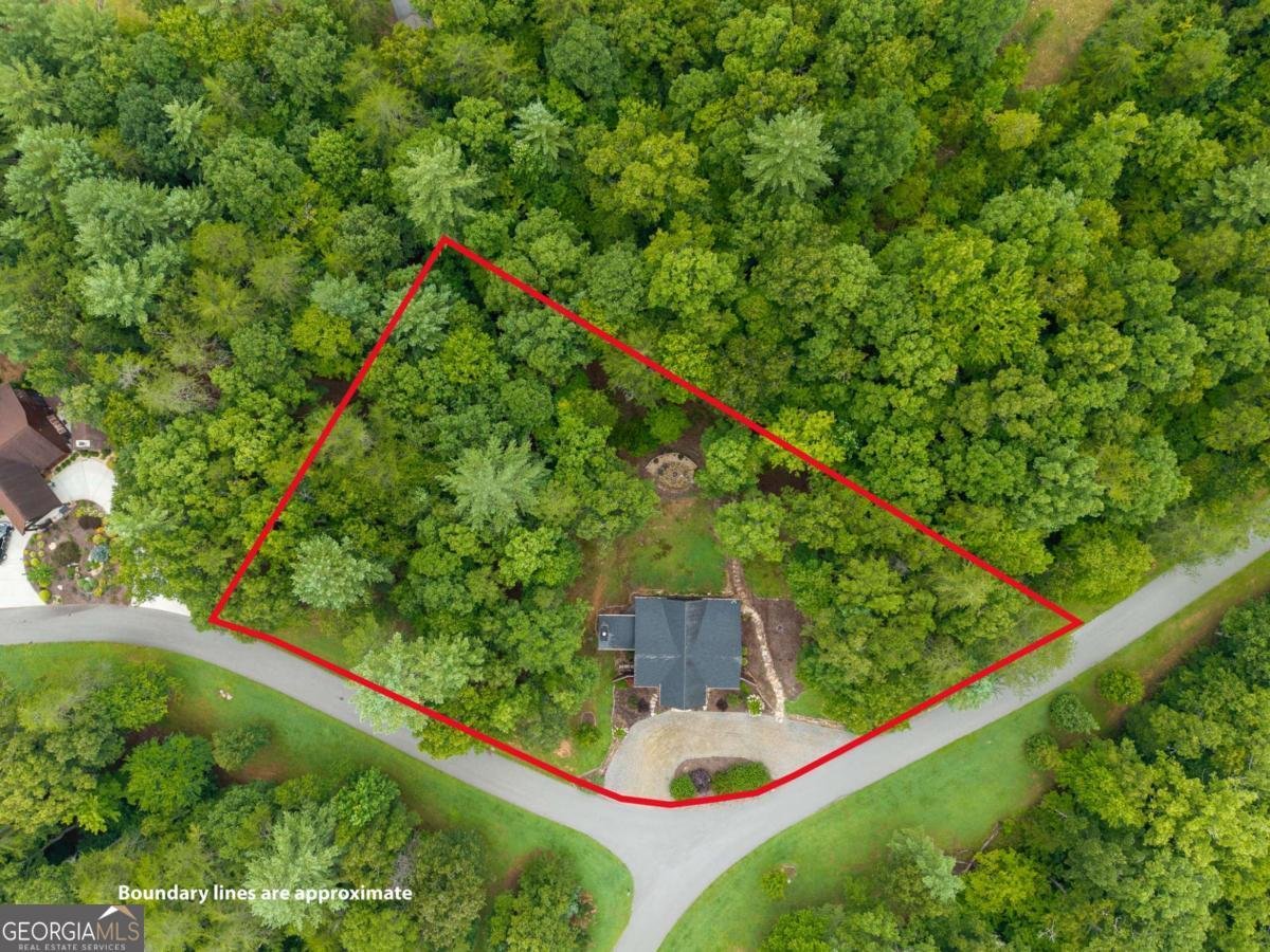 350 Kensington Drive Mineral Bluff - Photo 69