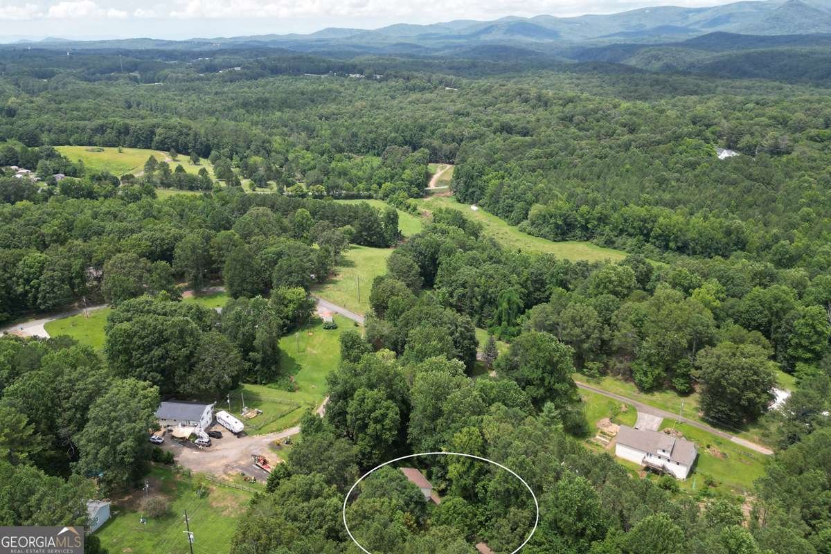 41 Clark Station Road Jasper - Photo 63