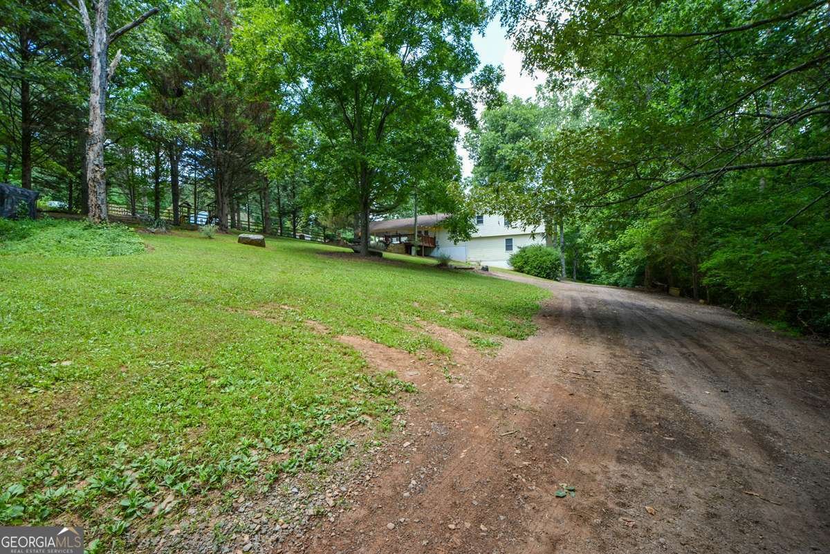 41 Clark Station Road Jasper - Photo 66