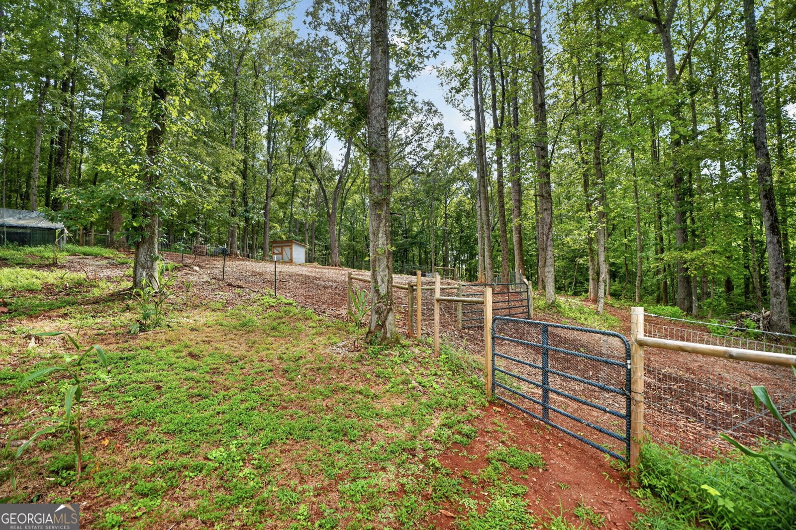 1042 Carl Bramlett Road Winder - Photo 29