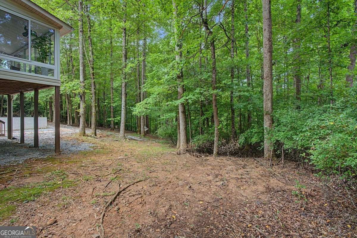 590 Alexander Creek Road Newnan - Photo 43