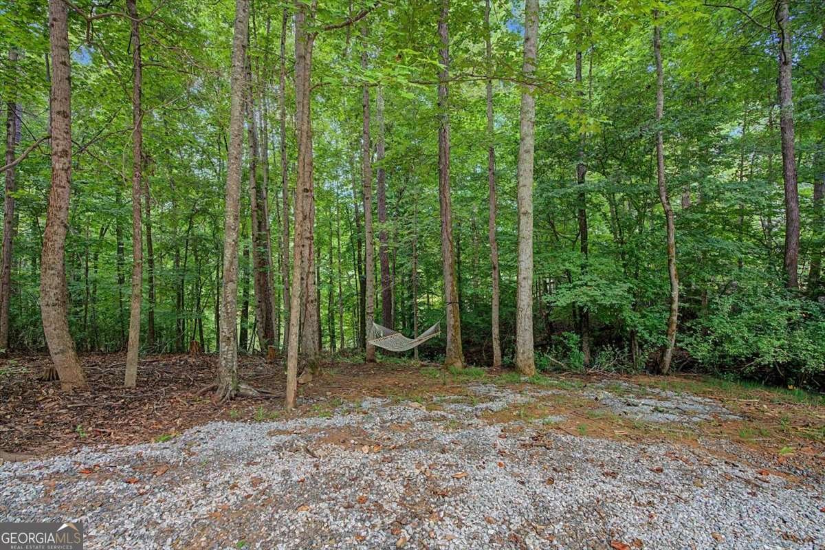 590 Alexander Creek Road Newnan - Photo 45