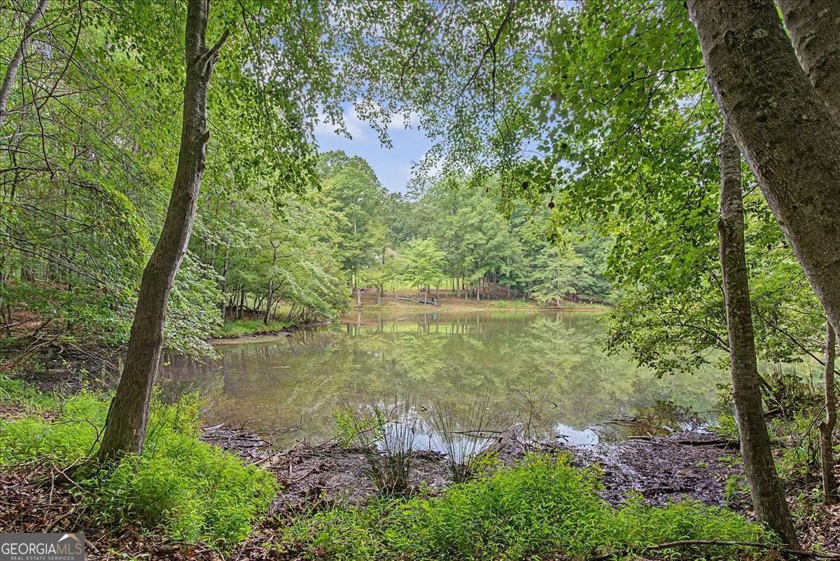 590 Alexander Creek Road Newnan - Photo 47