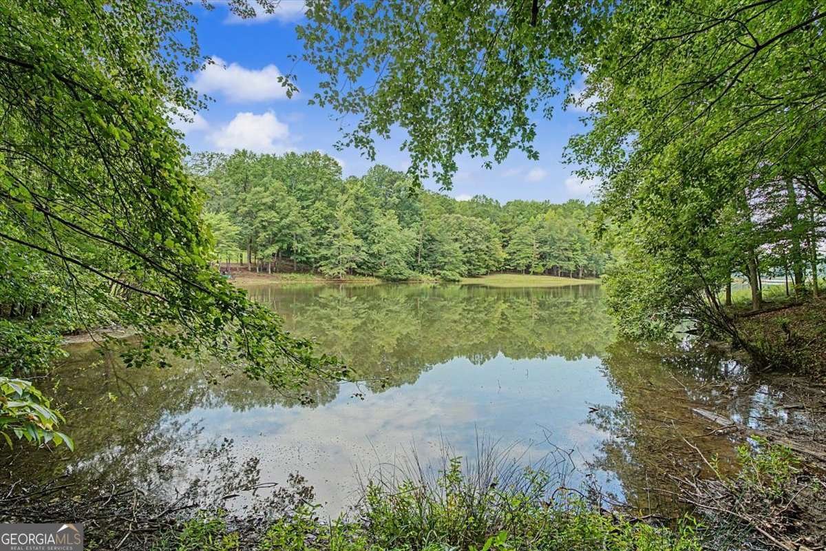 590 Alexander Creek Road Newnan - Photo 48