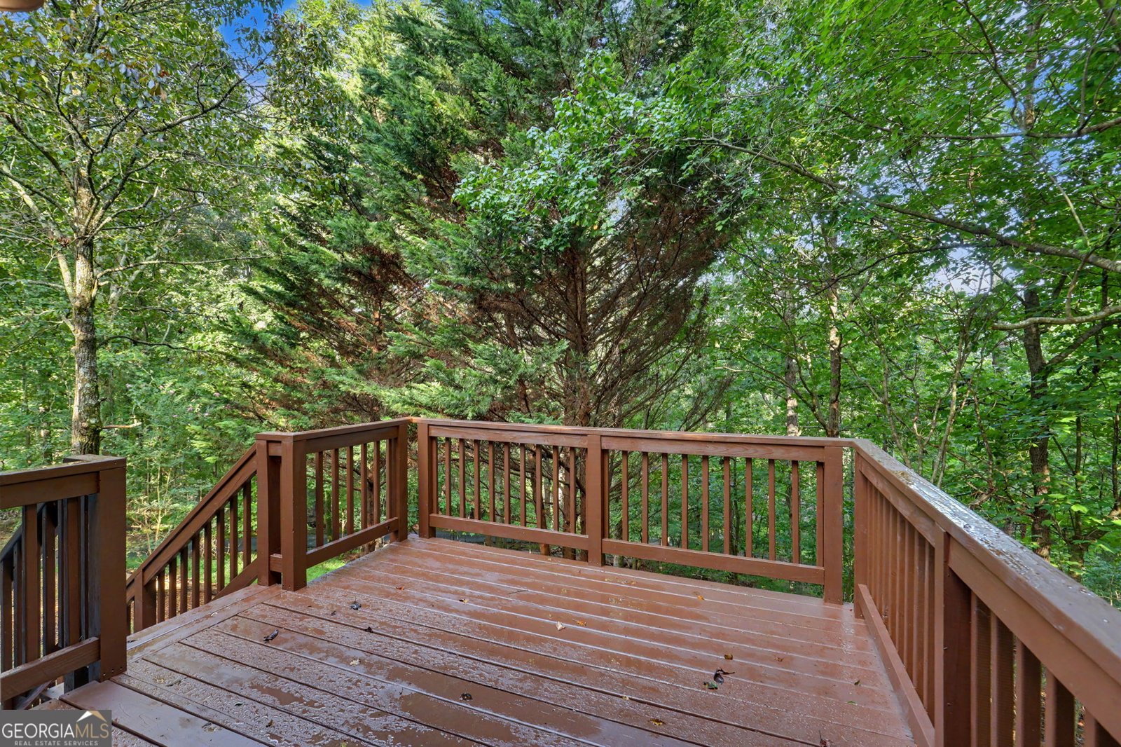 205 Spring Branch Road Demorest - Photo 33