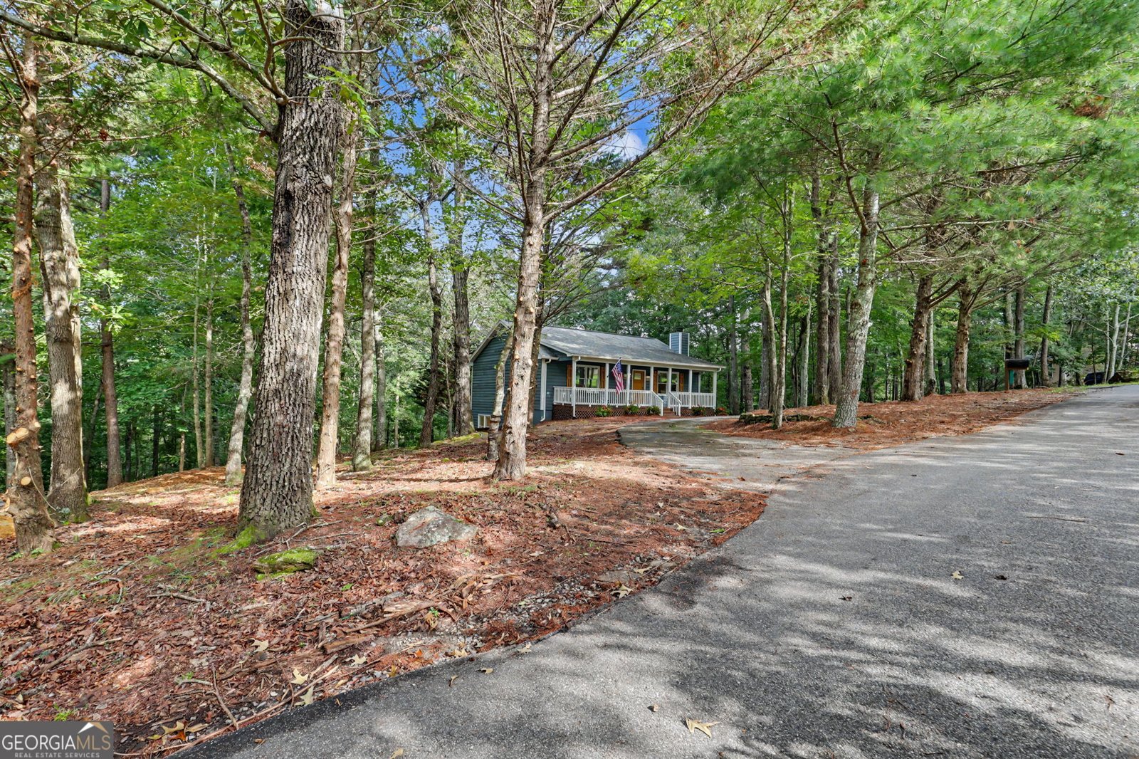 205 Spring Branch Road Demorest - Photo 37