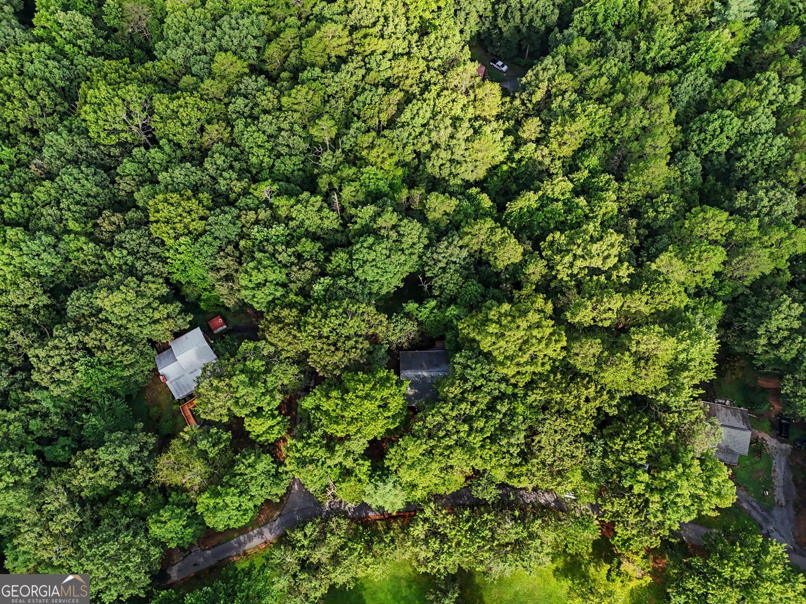 205 Spring Branch Road Demorest - Photo 38