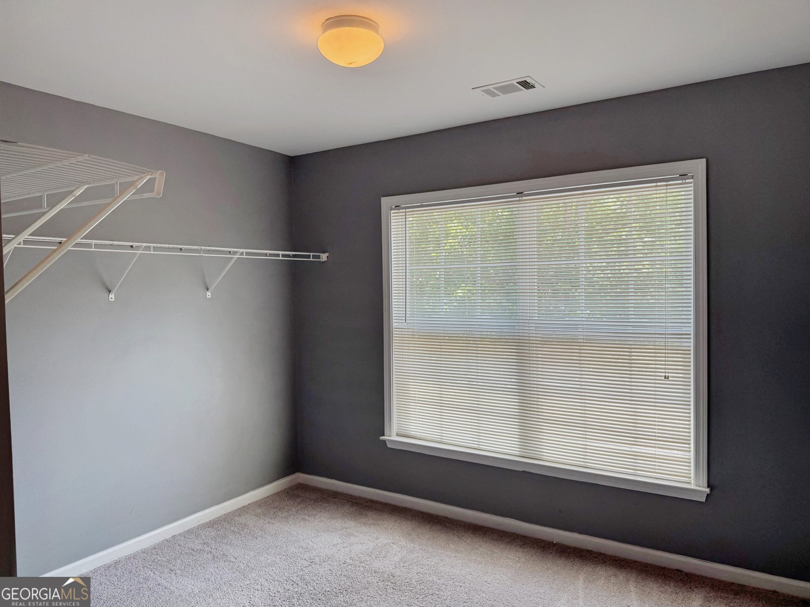 2513 Mockingbird Lane Locust Grove - Photo 14