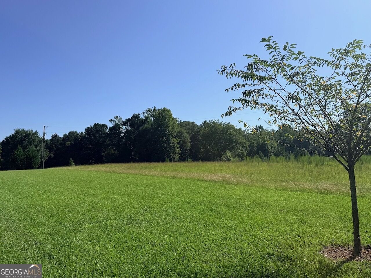 6090 Strickland Town Rd Luthersville - Photo 9