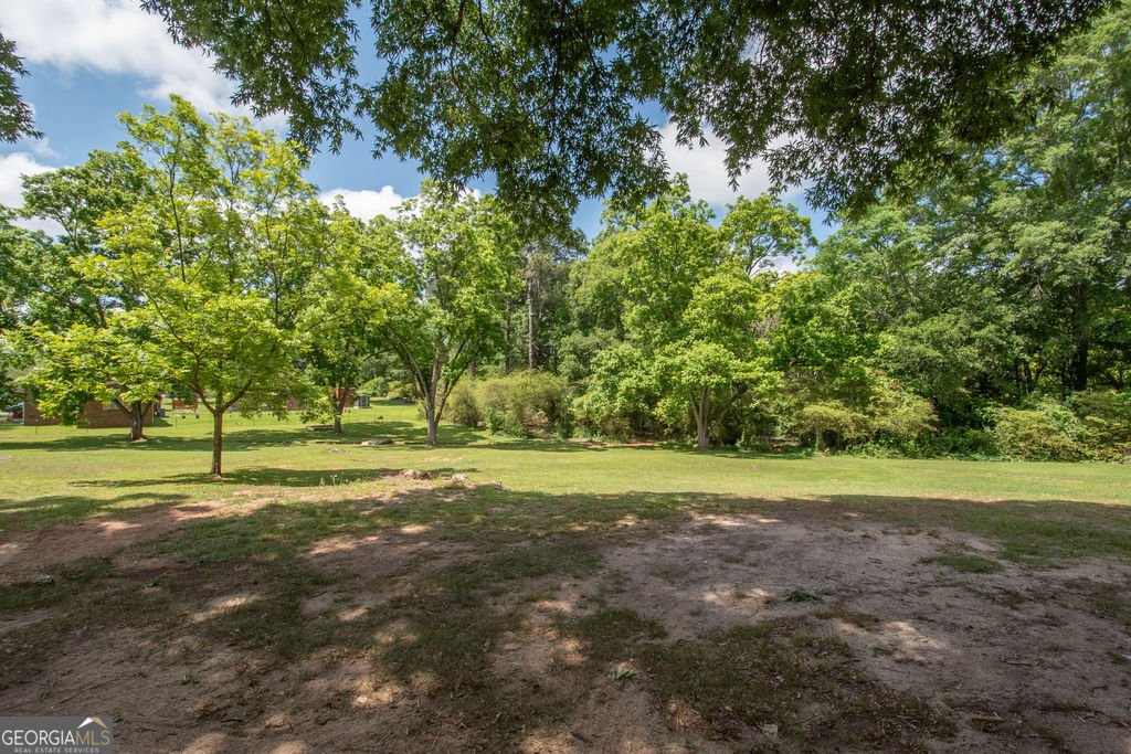 333 Carver griffin - Photo 37
