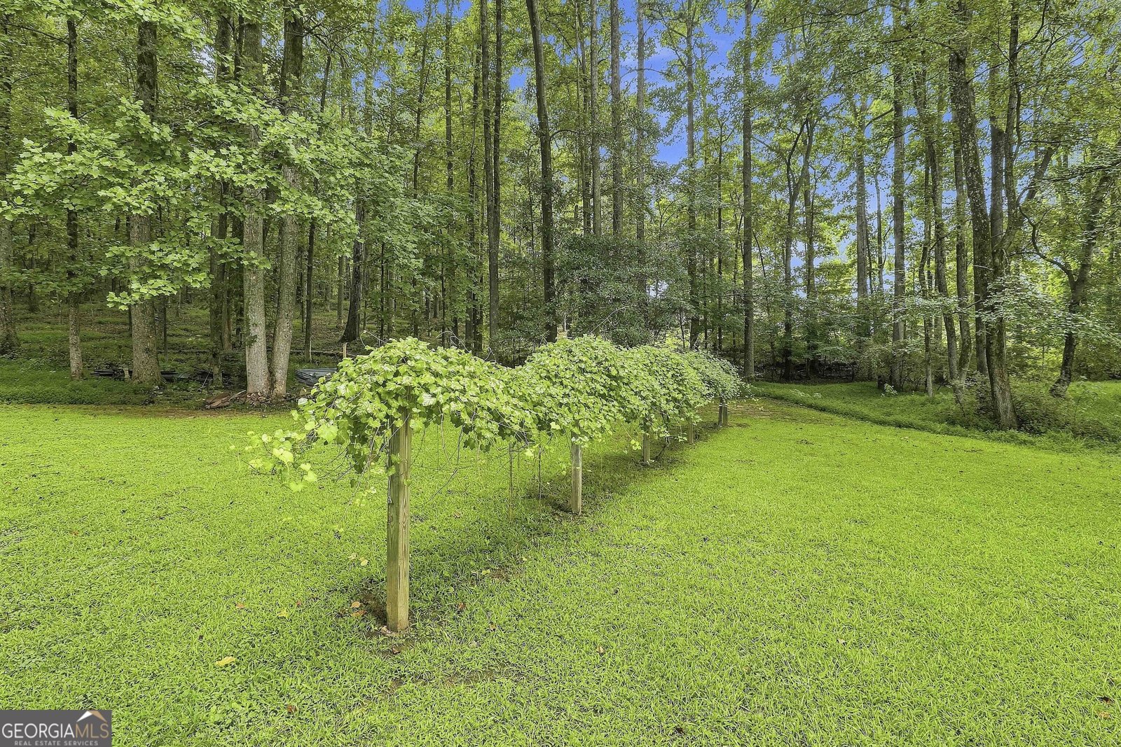 413 Lees Mill Road Fayetteville - Photo 40