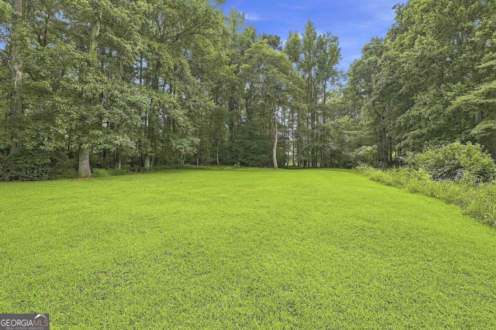 413 Lees Mill Road Fayetteville - Photo 45