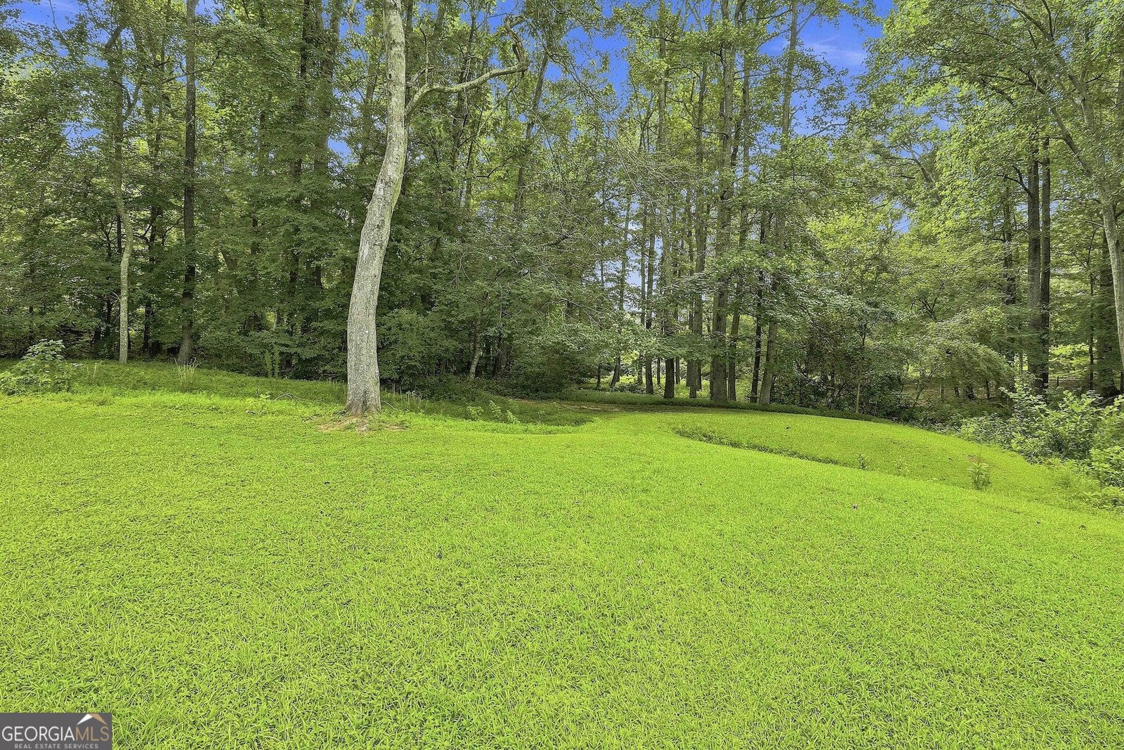 413 Lees Mill Road Fayetteville - Photo 46