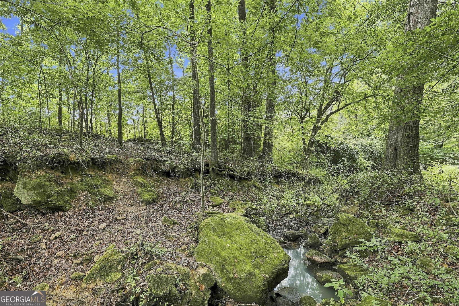 413 Lees Mill Road Fayetteville - Photo 47