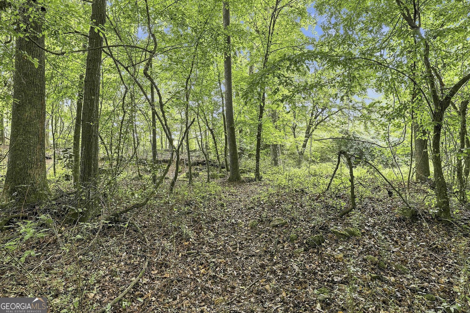 413 Lees Mill Road Fayetteville - Photo 48