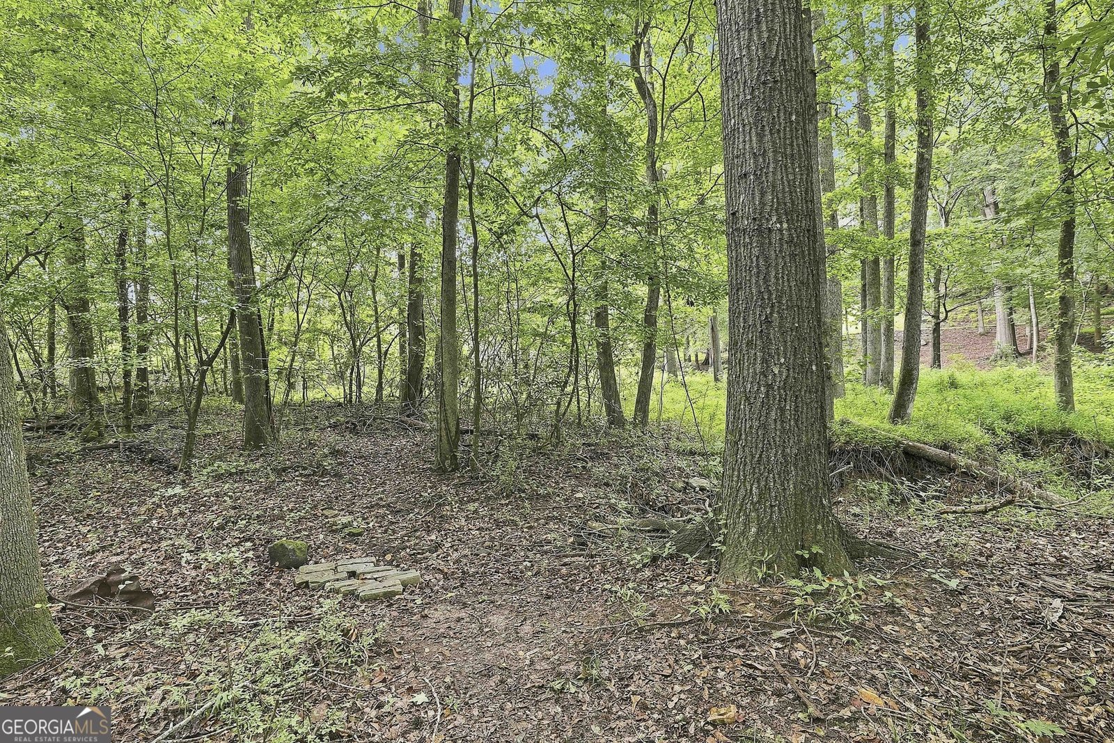 413 Lees Mill Road Fayetteville - Photo 49