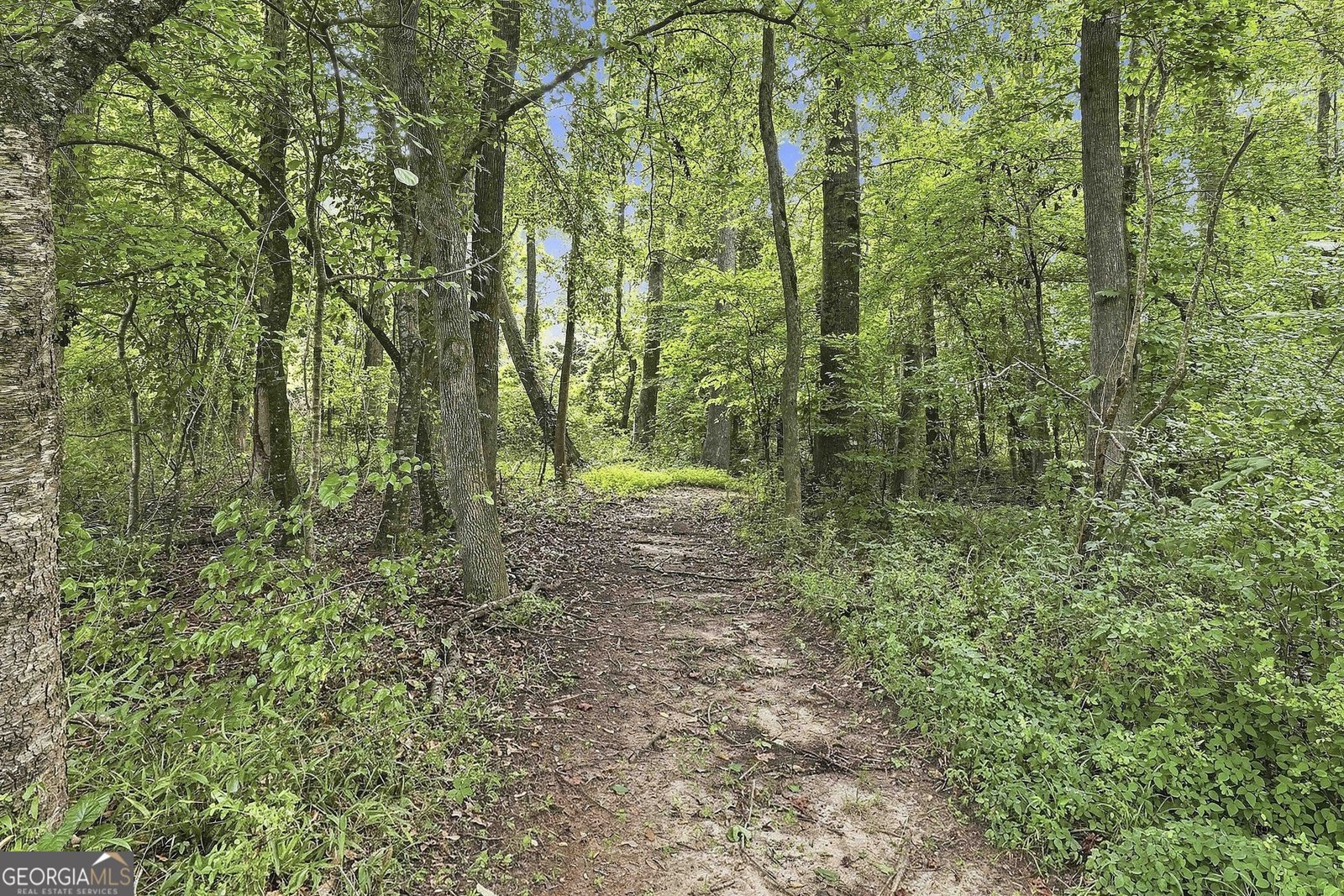 413 Lees Mill Road Fayetteville - Photo 50